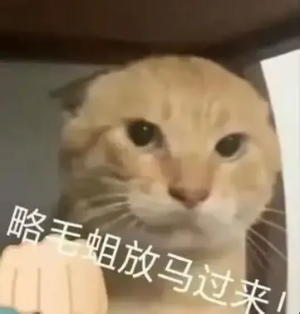 阿西噶亚希.png