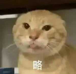 我被困在了哈基乡.png
