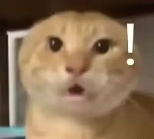 不得不哈.png